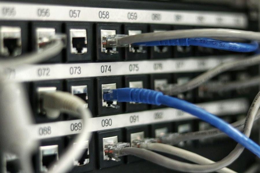 Network cables patched into a rack-mounted patch panel